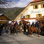 Domacija Vodnik & Szálloda Cerklje na Gorenjskem