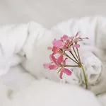 Domacija Vodnik & Szálloda Cerklje na Gorenjskem