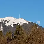 Domacija Vodnik & Szálloda 3*