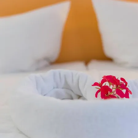 Domacija Vodnik & 3* Cerklje na Gorenjskem