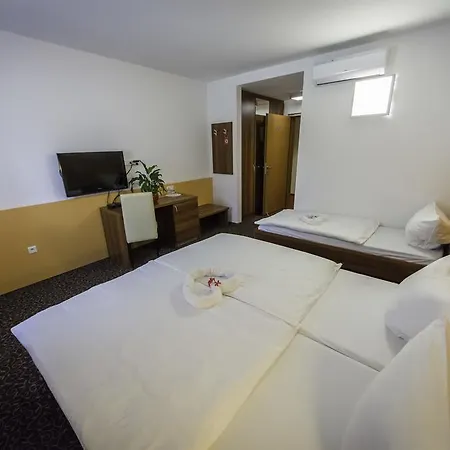 Hotel Domacija Vodnik &
