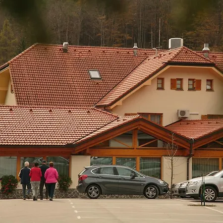 Hotel Domacija Vodnik &
