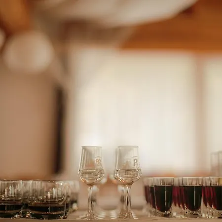 Domacija Vodnik & Hotel 3*