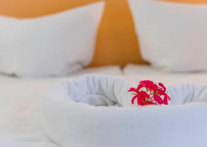 Domacija Vodnik & 3* Cerklje na Gorenjskem