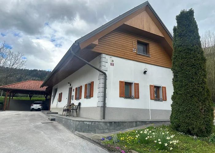 Hotel Domacija Vodnik & 3*