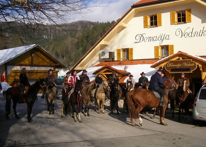 Domacija Vodnik & Hotel Cerklje na Gorenjskem