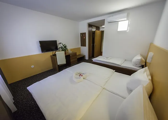 Hotel Domacija Vodnik &