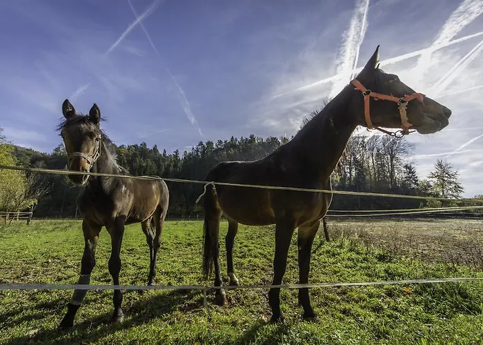 Hotel Domacija Vodnik & 3*