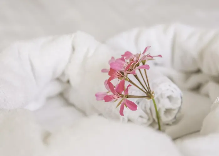 Domacija Vodnik & Hotel Cerklje na Gorenjskem