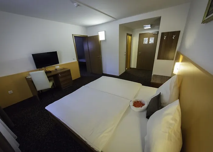 Hotel Domacija Vodnik & 3*