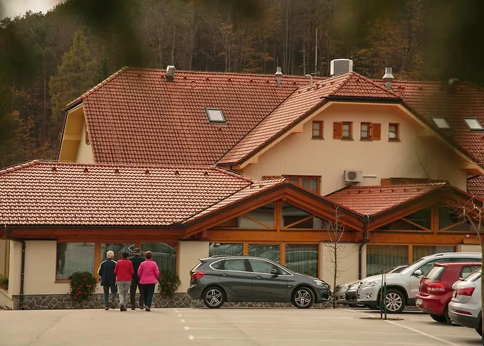 Hotel Domacija Vodnik &