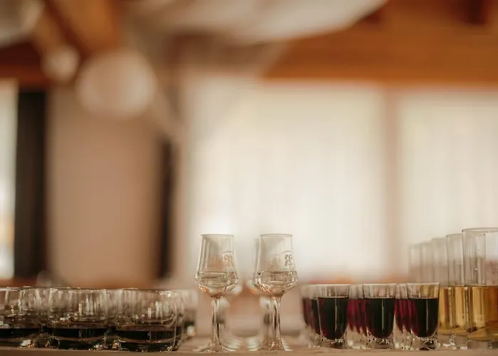 Domacija Vodnik & Hotel 3*