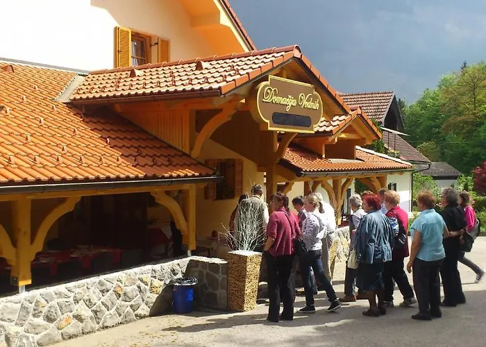 Hotel Domacija Vodnik &